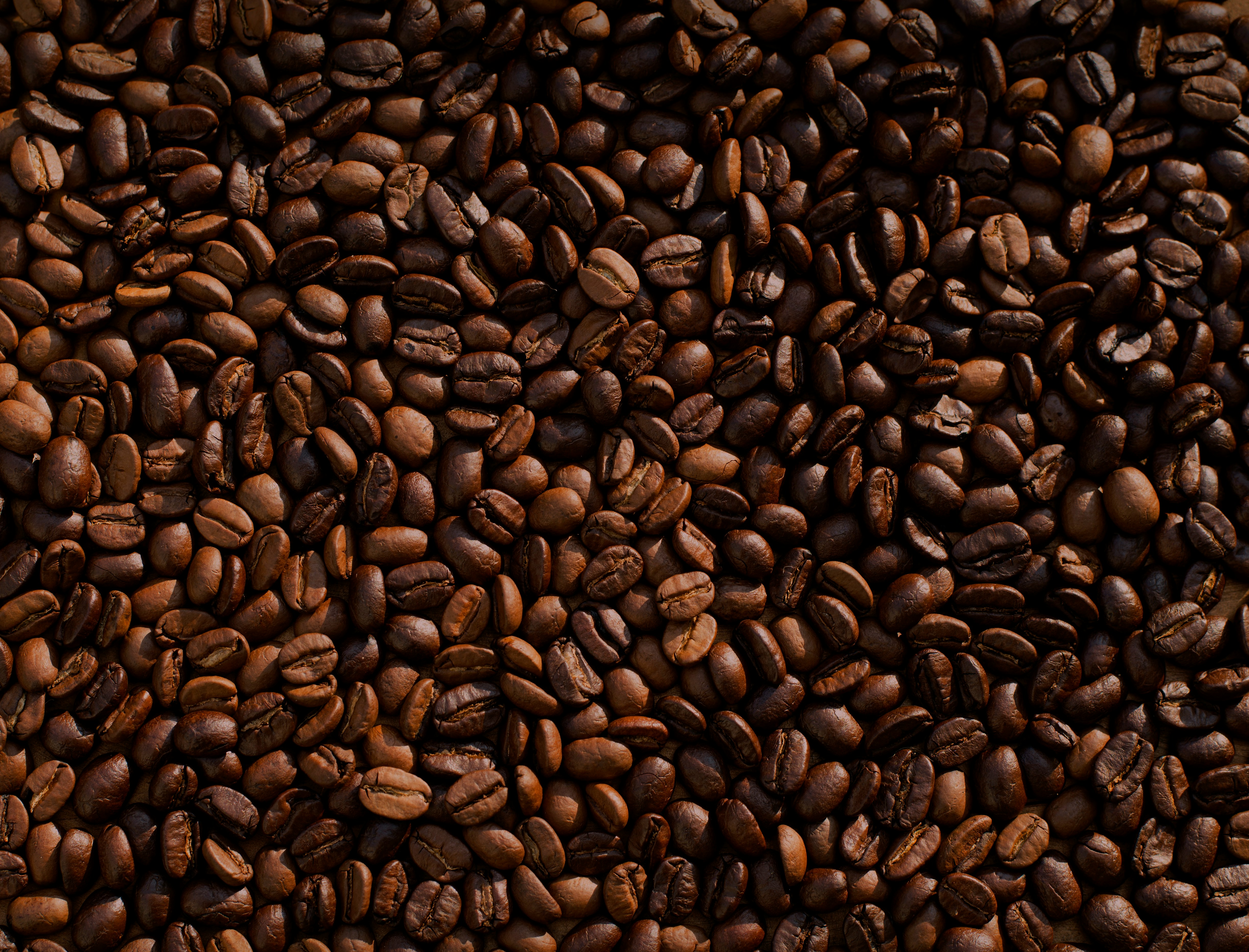 Café Catering